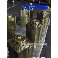 山东泰丰智能供应320T数控折弯机用油缸MB-02.08-00