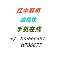 娱乐3.5一元一分手机红中日日不熄火