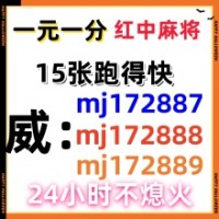 勇往直前正规1元1分红中麻将群有道