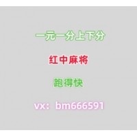 详细解读一元一分红中群6年老群专业快速