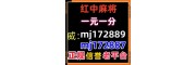 （正规的）红中麻将十年老平台1元-2元一分上下分红中麻将