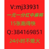 （秒懂）24小时一元一分广东红中麻将跑得快（游戏/热点）