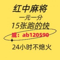 【金银花】24小时一元红中麻将哔哩哔哩