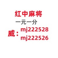 【勉励】这里有红中麻将麻将群一块一分