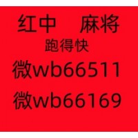 量大从优 加微w，一元一分的红中麻将，又好玩！