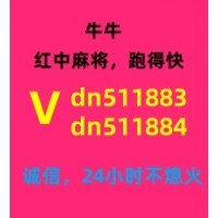 正规24小时一元一分红中麻将跑得快麻将群2024已更