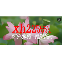 1元1分红中麻将那里有/2025@已更新《淘宝》