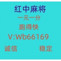 性价比最高 红中麻将，一元一分，让你的游戏时光更加精彩！