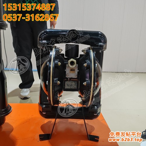 隔膜泵1