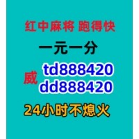 （勤学苦练 ）诚信靠谱一块红中麻将群