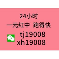 【最新】大家找1块1分微信跑得快